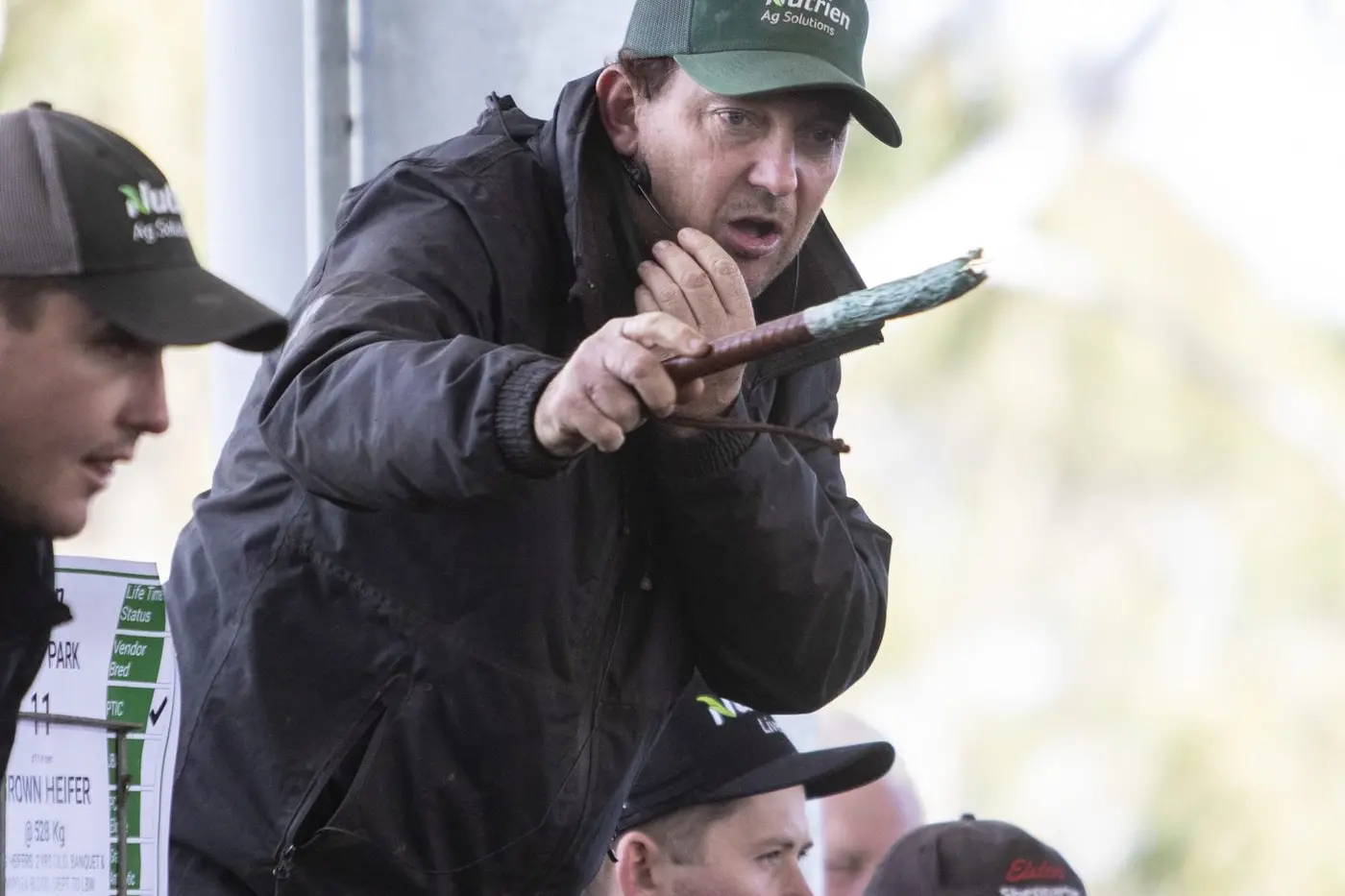 SALE DAY: Auctioneer Daniel Fischer at Friday\\'s cattle sale. PHOTOS: Dale Mann Id:42414