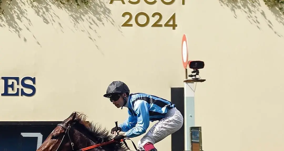 Noor Elaine Farm celebrates Asfoora's stunning Royal Ascot win