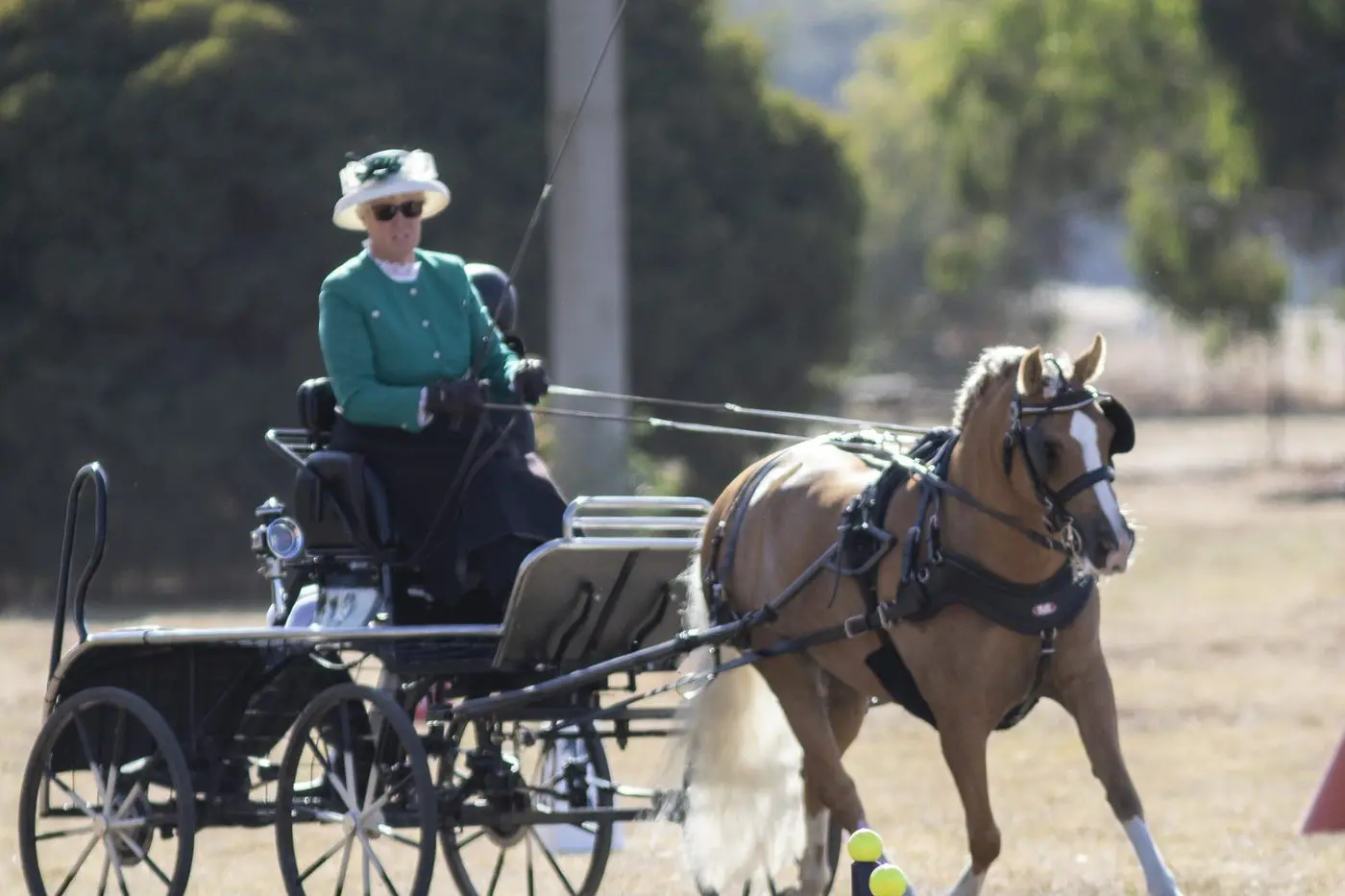 CARRIAGE DRIVING: The Skye Park Australian Carriage Driving Classic was held at Longwood last weekend. Pictured is Merry Byers in the Novice Singles. PHOTO: Dale Mann Id:38574