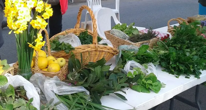 Face-painter Cherry Princess returning to Euroa Farmers Market