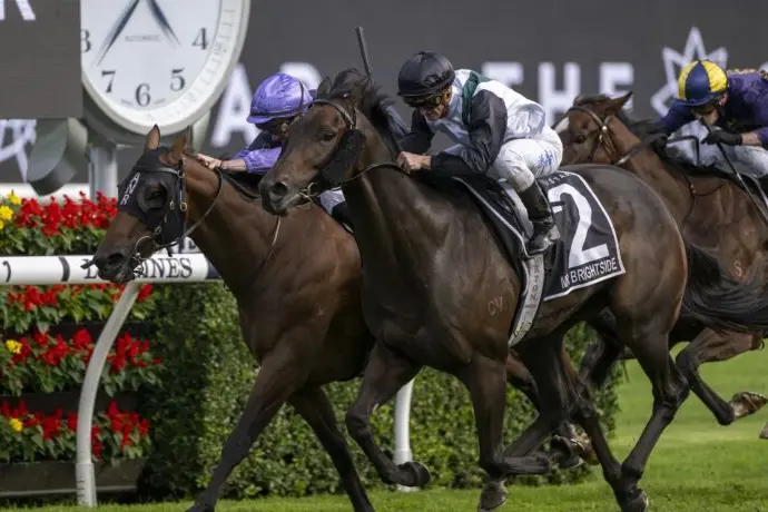 TWO IN A ROW: Mr Brightside fends off My Oberon to claim his second Doncaster Mile. PHOTO: Steve Hart  Id:39557