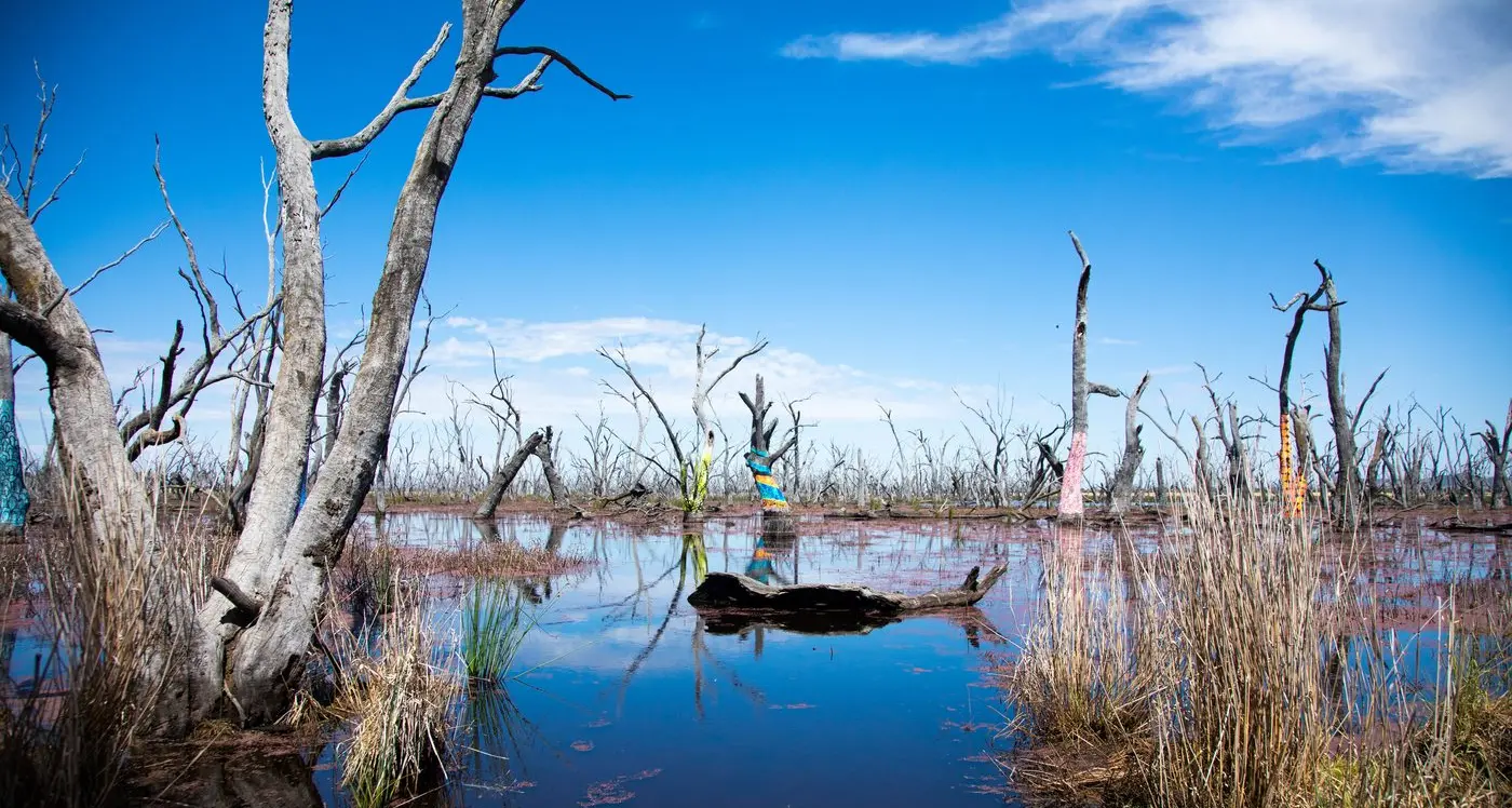 Benalla manufacturer ordered to pay $120K for EPA breaches