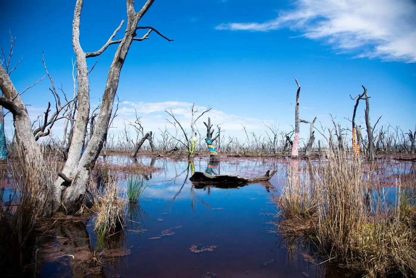 BOOST FOR WINTON: The Winton Wetlands (pictured) will receive a $100,000 boost after a Benalla particleboard manufacturer was ordered to pay for the project as part of its penalty on environmental charges from EPA Victoria.