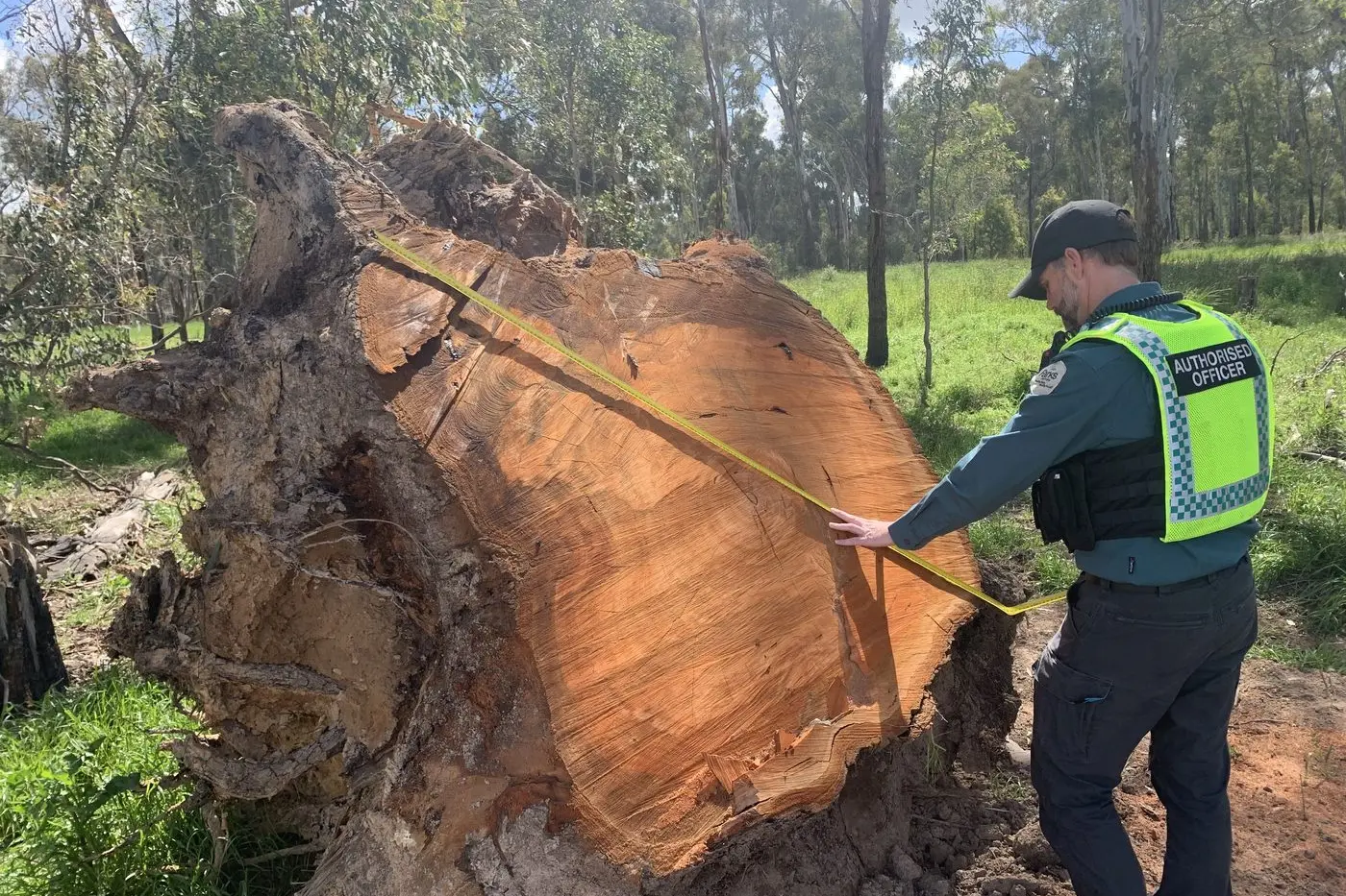 TASKFORCE IRONBARK: Parks Victoria and the Conservation Regulator have formed Taskforce Ironbark to crackdown on illegal firewood removal.