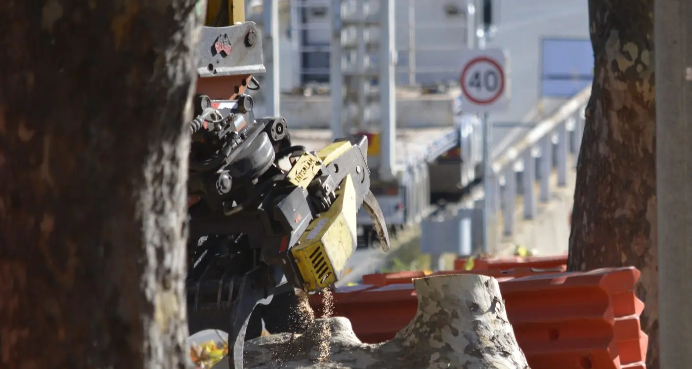 Letters to the Editor