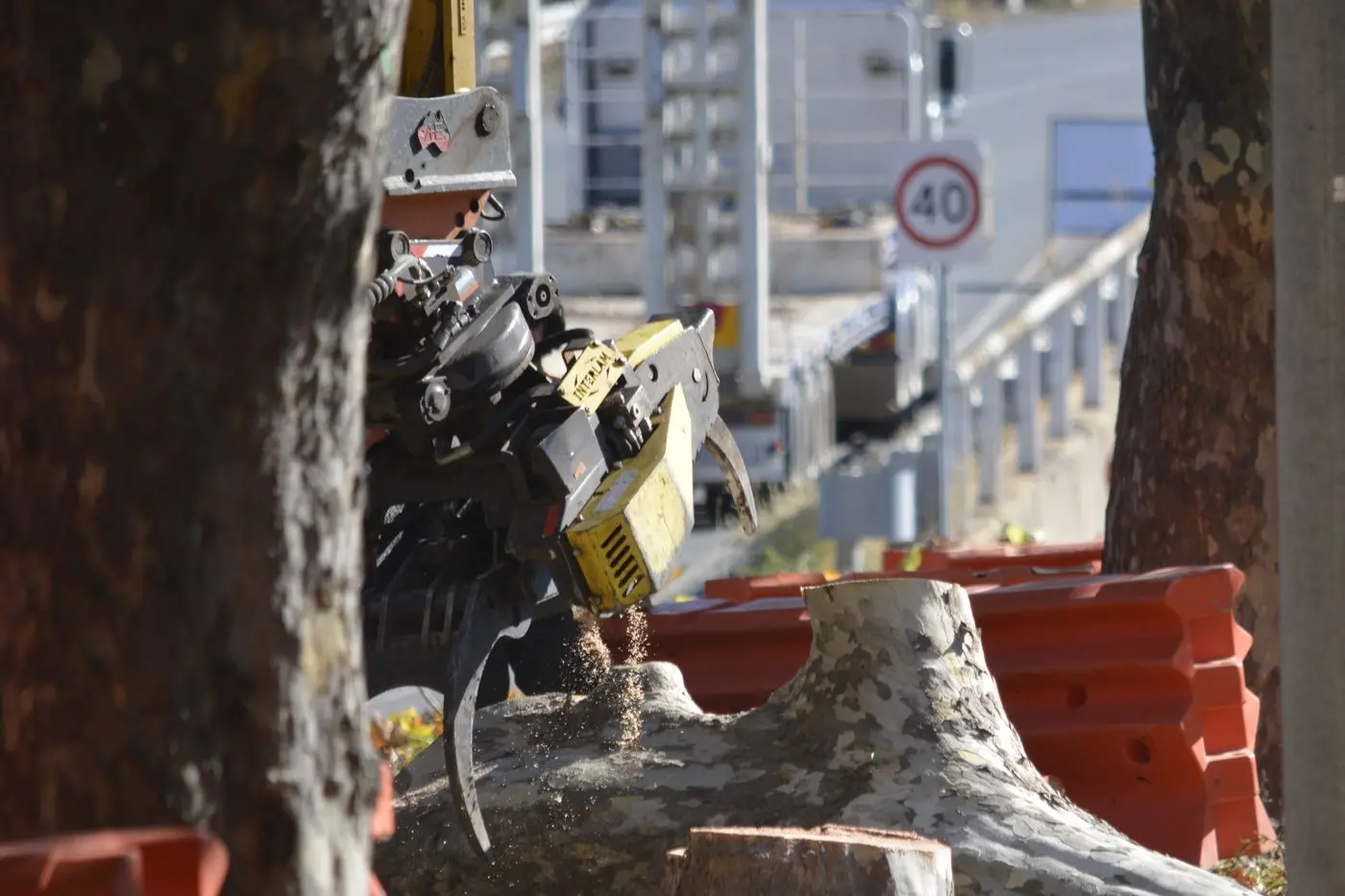 PAYOUT DUE: David Jamieson says Euroa needs to be compensated for the loss of its significant trees. PHOTO: Andy Wilson