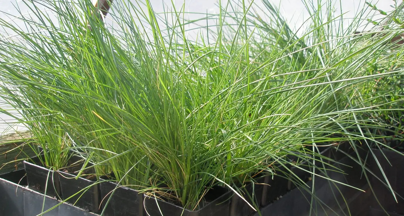 Perpetual Open Day at St John's welcomes all