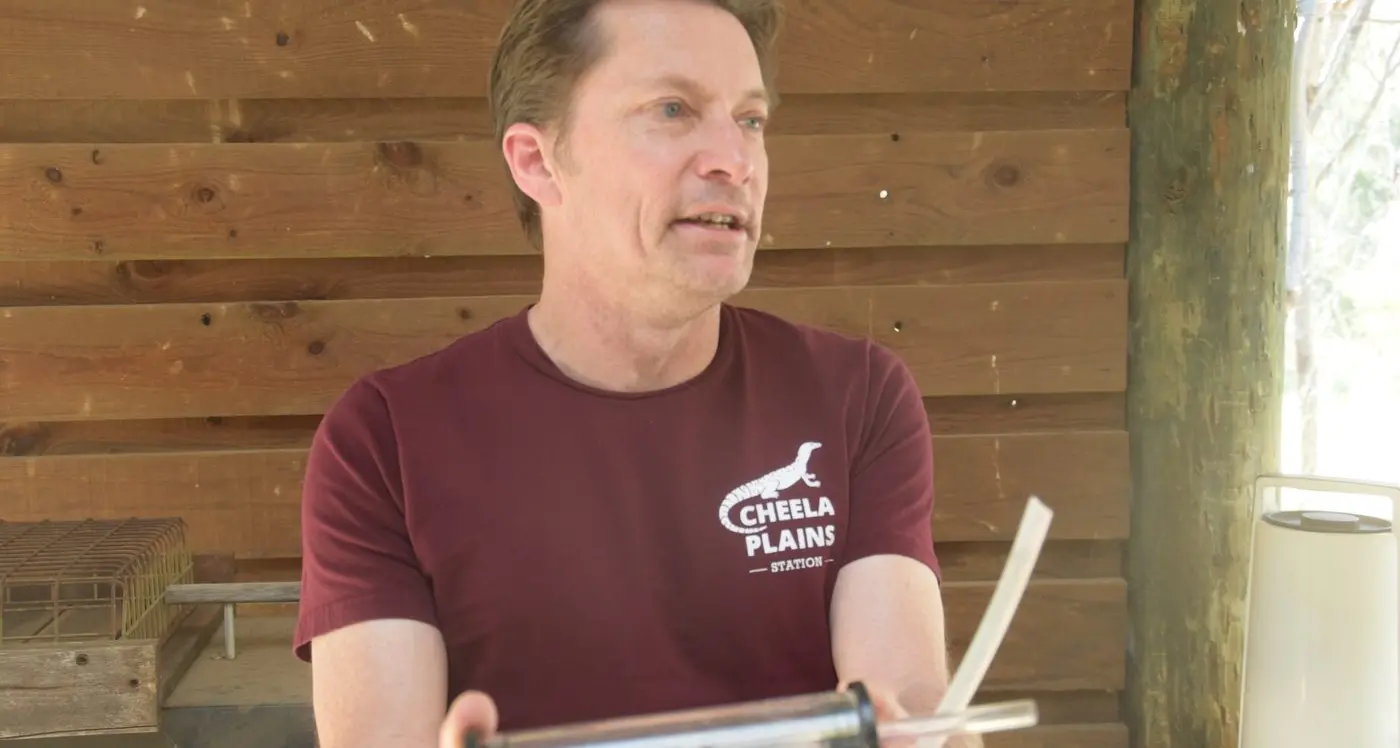 Endangered grasshopper finds new home at Euroa Arboretum