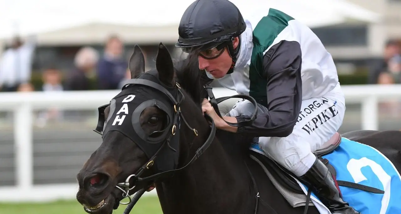 Lindsay Park stalwart So Si Bon retires