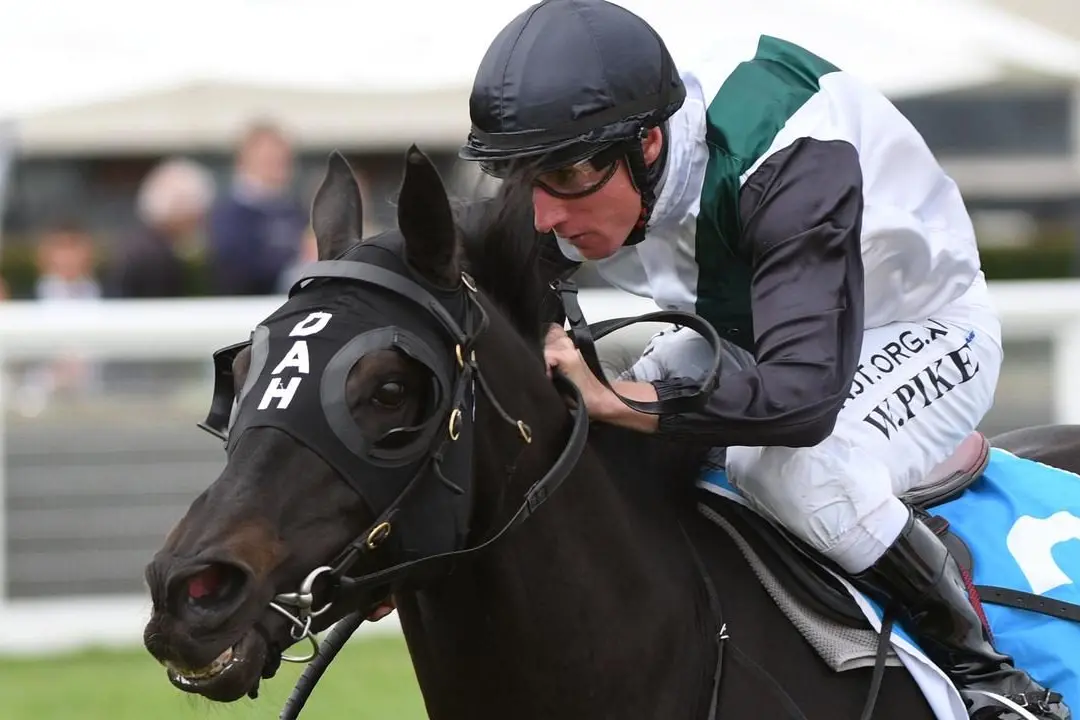 HARD TO CATCH: On his day So Si Bon proved hard to catch for many of his rivals over the course of an illustrious career.\\nPhoto Racenet