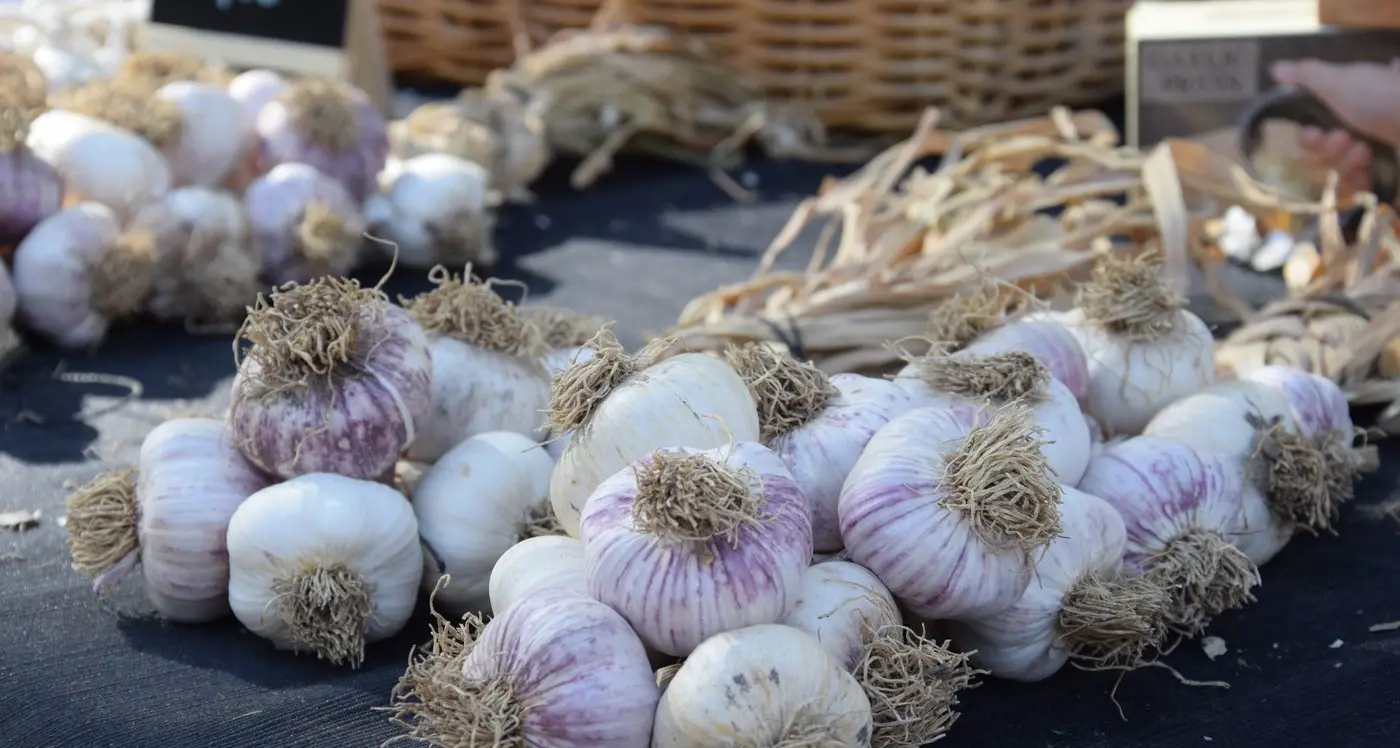 Climate change drives up food prices