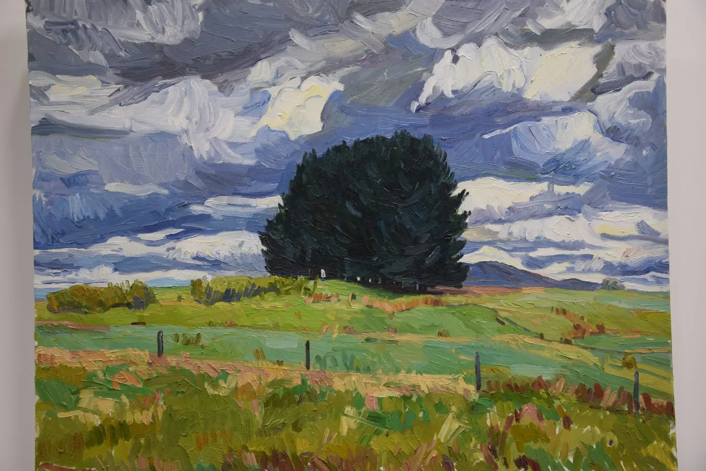 STRATHBOGIE INSPIRED: Anna describes herself as an eccentric, figurative artist. PHOTO: Andy Wilson