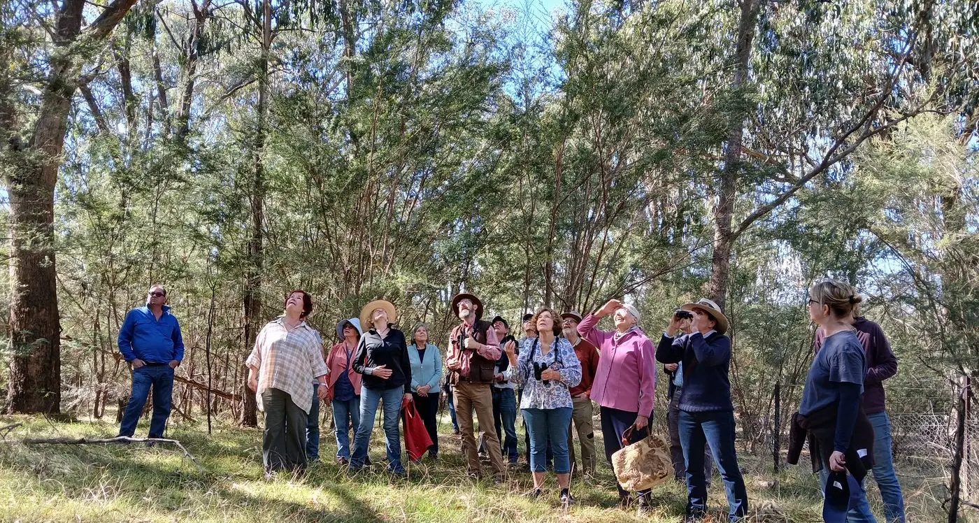 Strathbogie's Gecko Clan lands 2024 AusNet Community Landcare grant