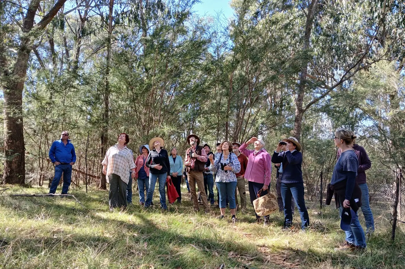 LEARNING: A recent biodiversity walk run by the Gecko Clan Landcare group. PHOTOS: Supplied