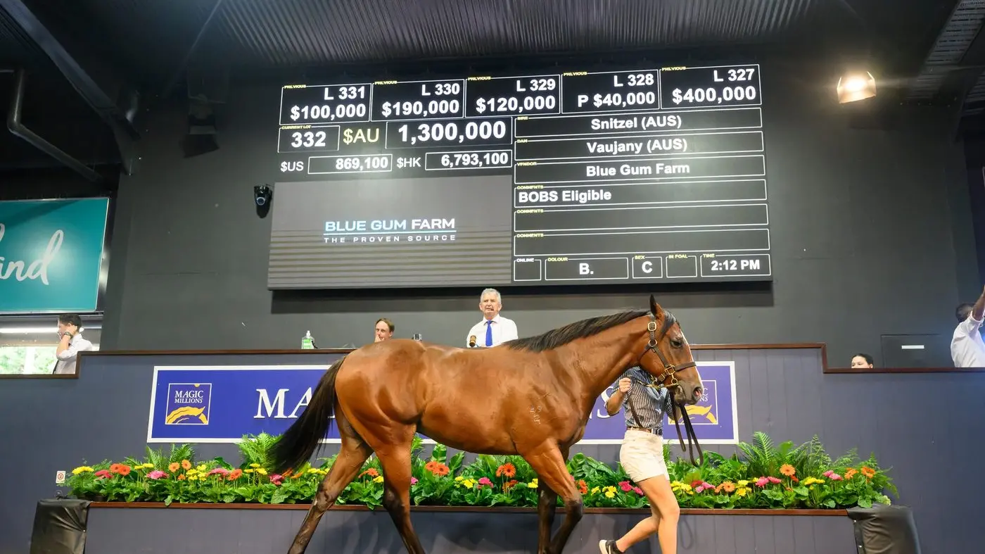 Local stables rake in the cash at Magic Millions