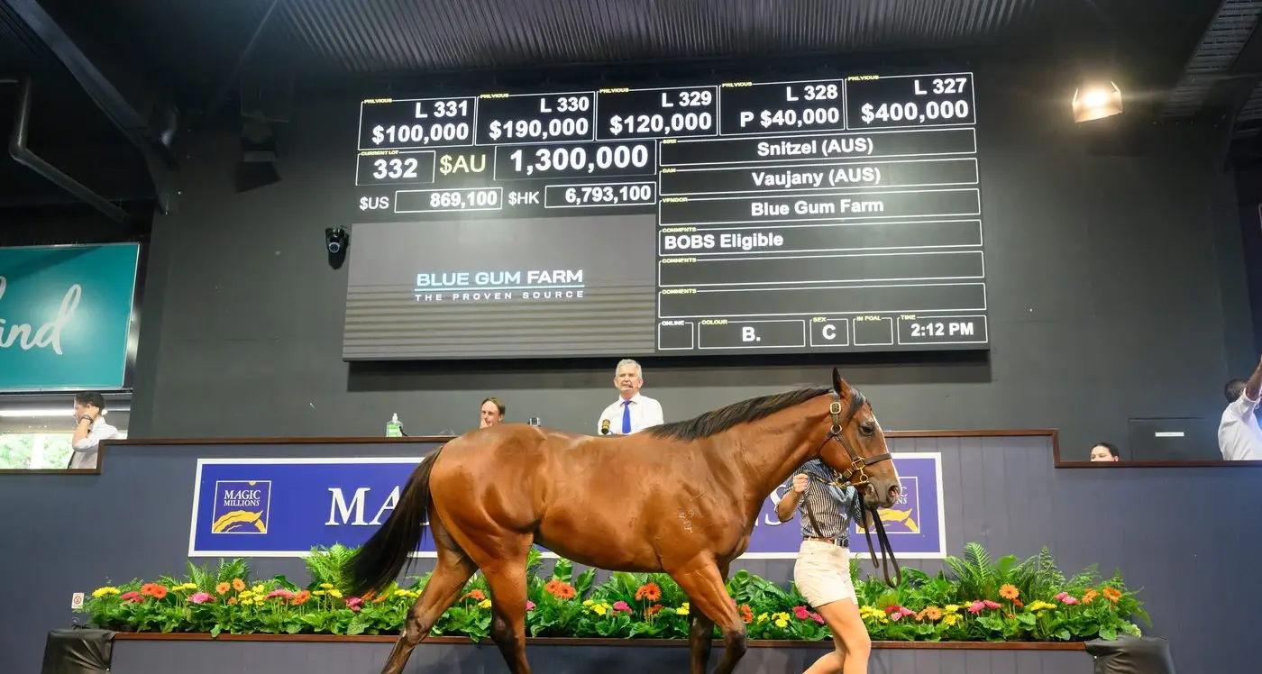 Local stables rake in the cash at Magic Millions