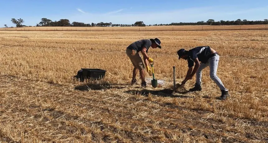 Dig up and donate some dirt