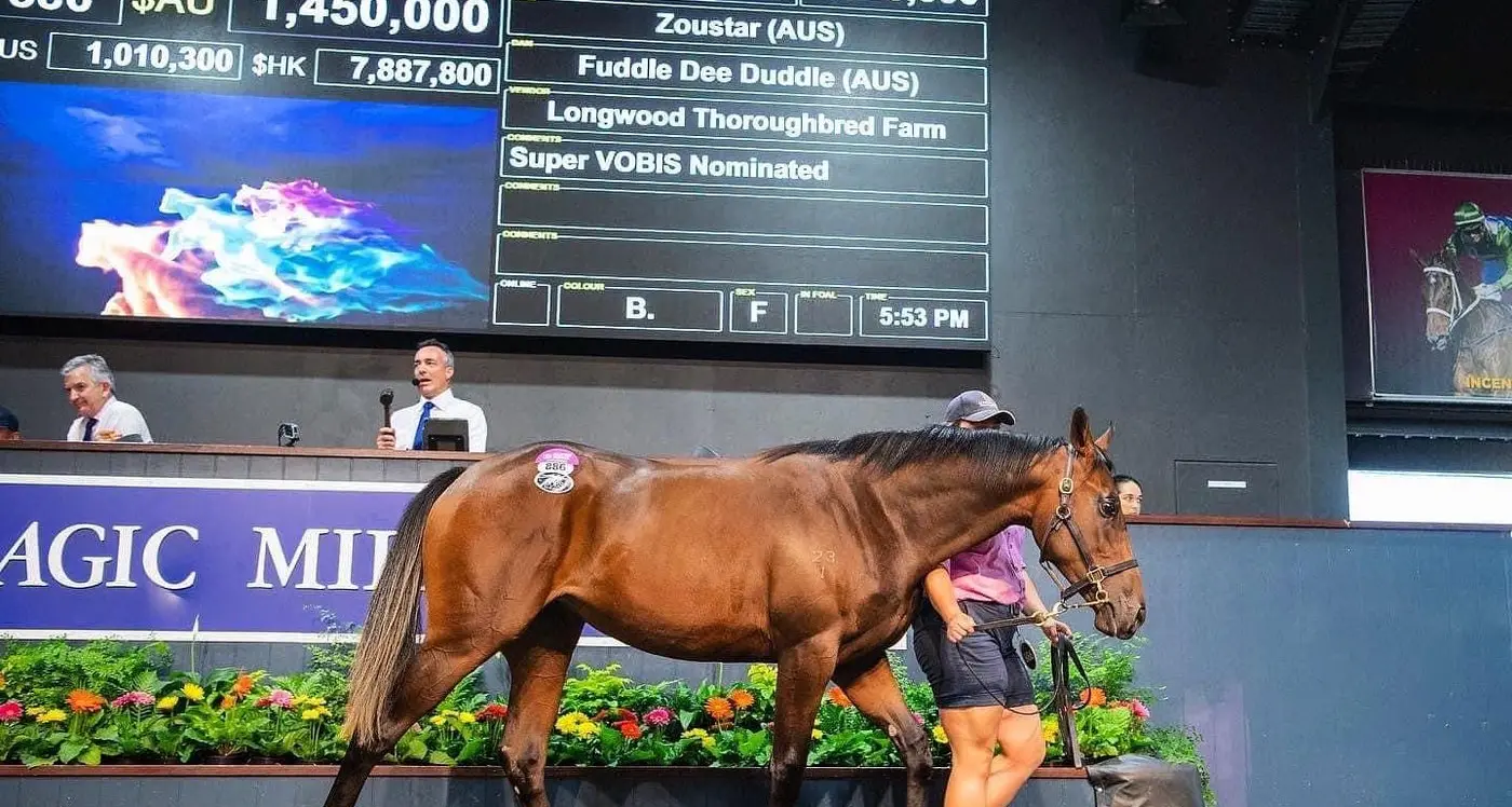 Longwood Thoroughbred Farm thrives at Magic Millions