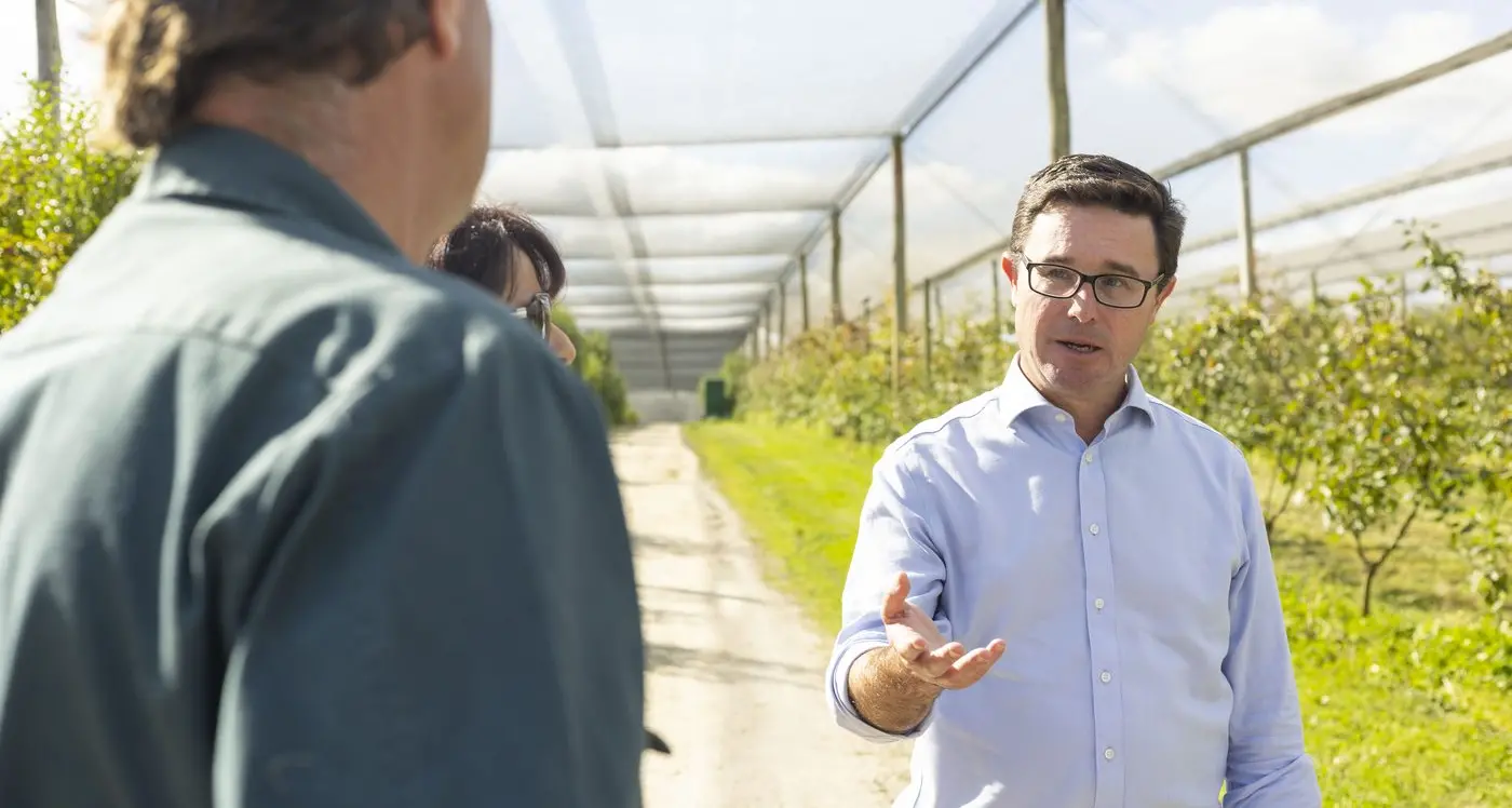 Supermarkets still gouging: Nats