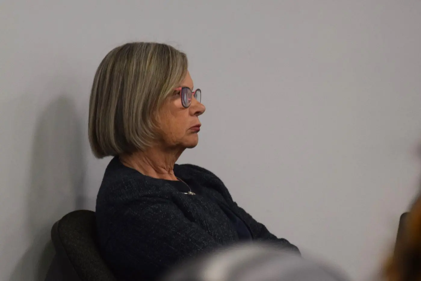 MONITOR: Strathbogie Shire Council monitor Marg Allan \\u2013 who was appointed for a one-year period \\u2013 at last week\\'s mayoral election. PHOTO: Darren Chaitman