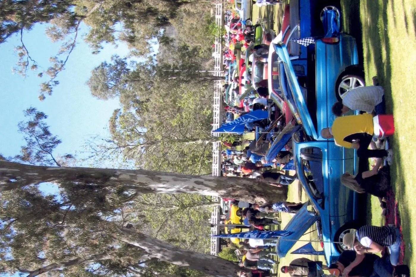 PERFECT LOCATION: the Seven Creeks Park at Euroa is the ideal setting for the annual show \\'n\\' shine vehicles on display day.