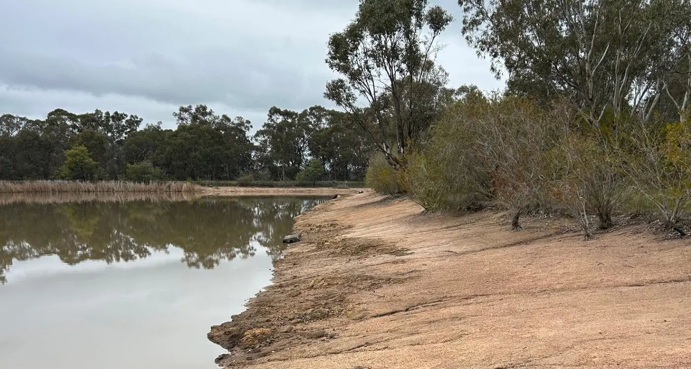 Daffodil Day dam dunkers will splash it up at the Arb'