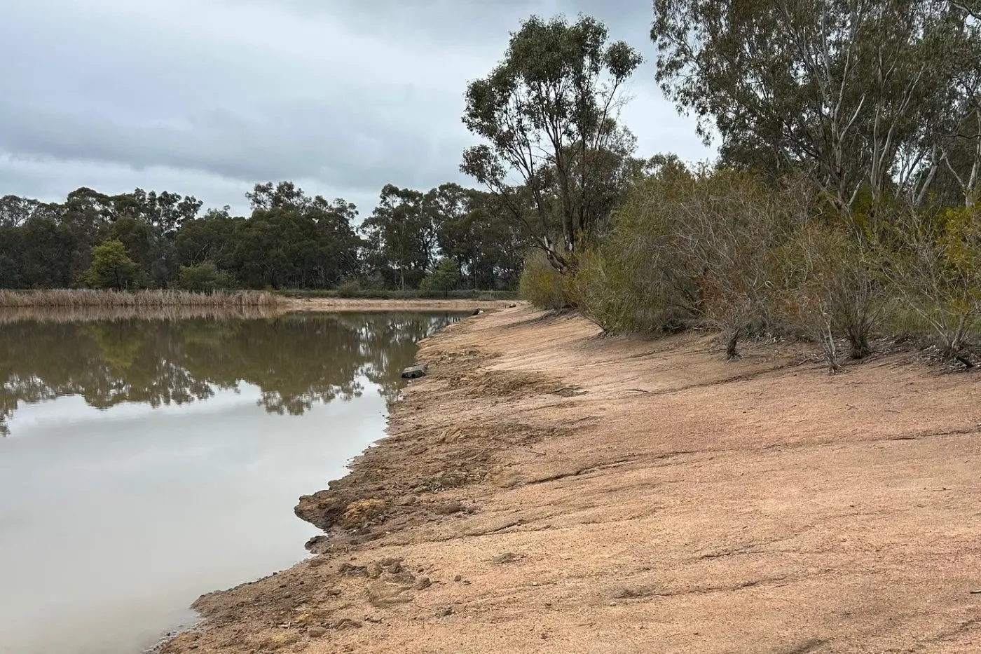 COME AND DUNK FOR AN EXCELLENT CAUSE: Splashing into the Euroa Arboretum dam on a cold August morning should be a breeze. Or not. PHOTO: Jenny Houghton