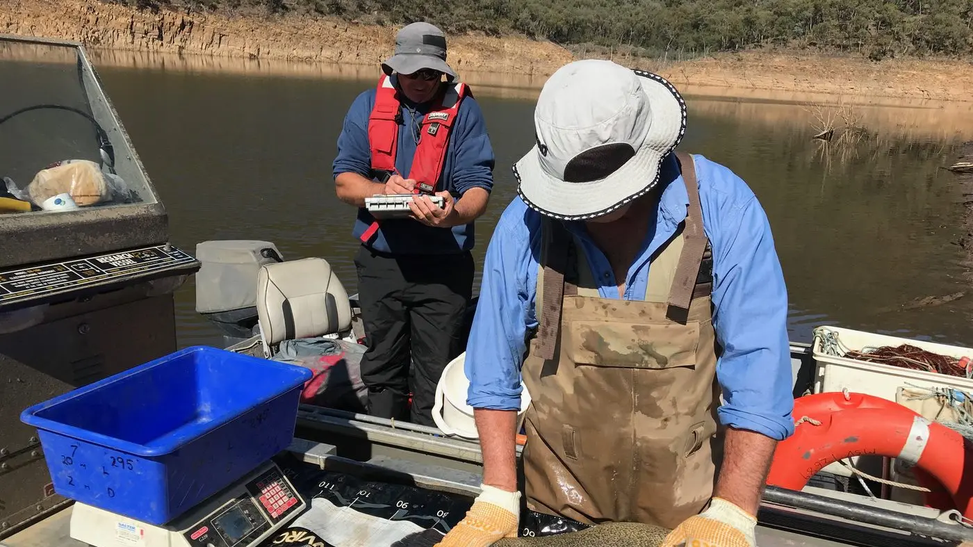 The secret life of cod