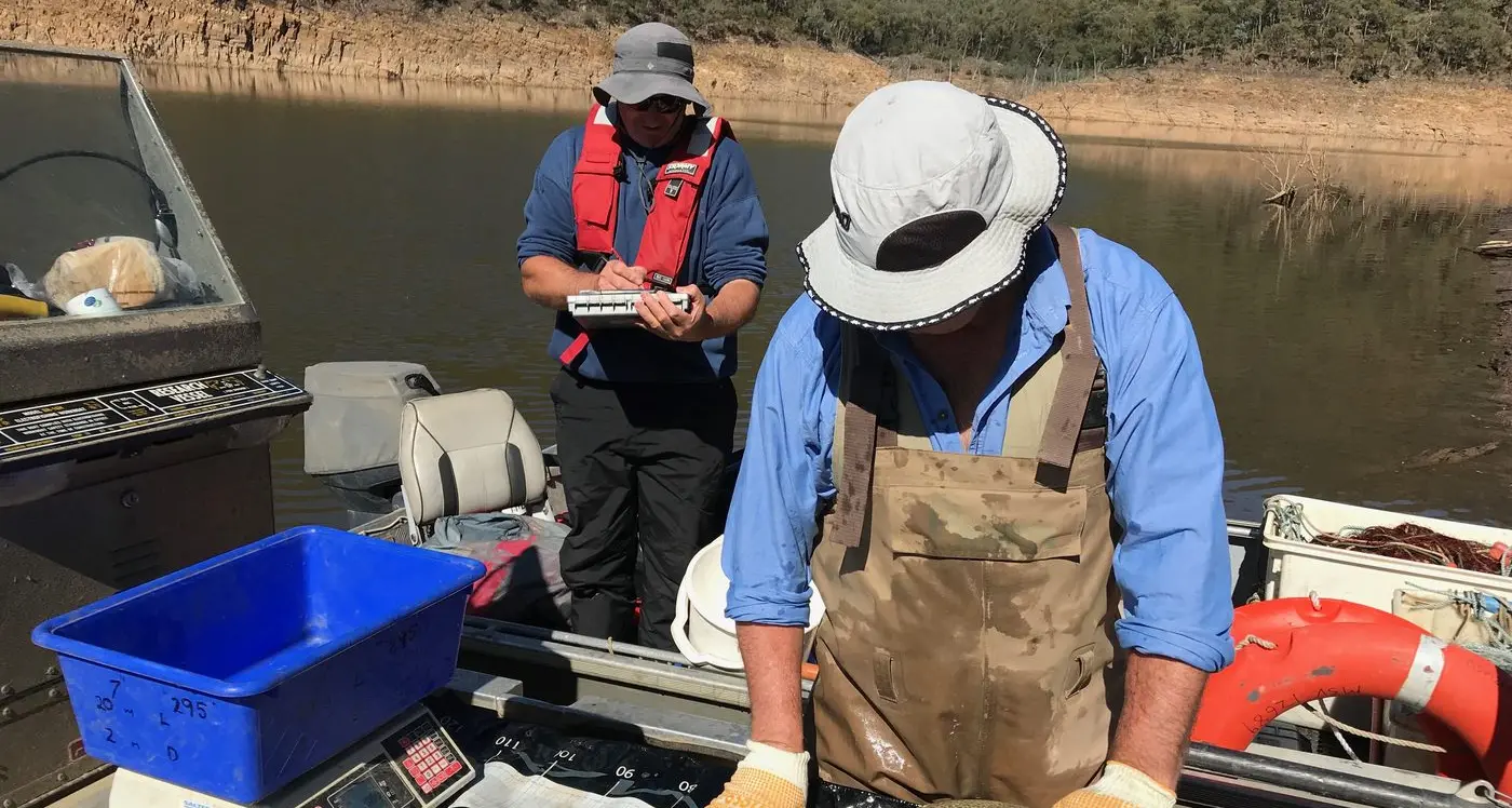 The secret life of cod