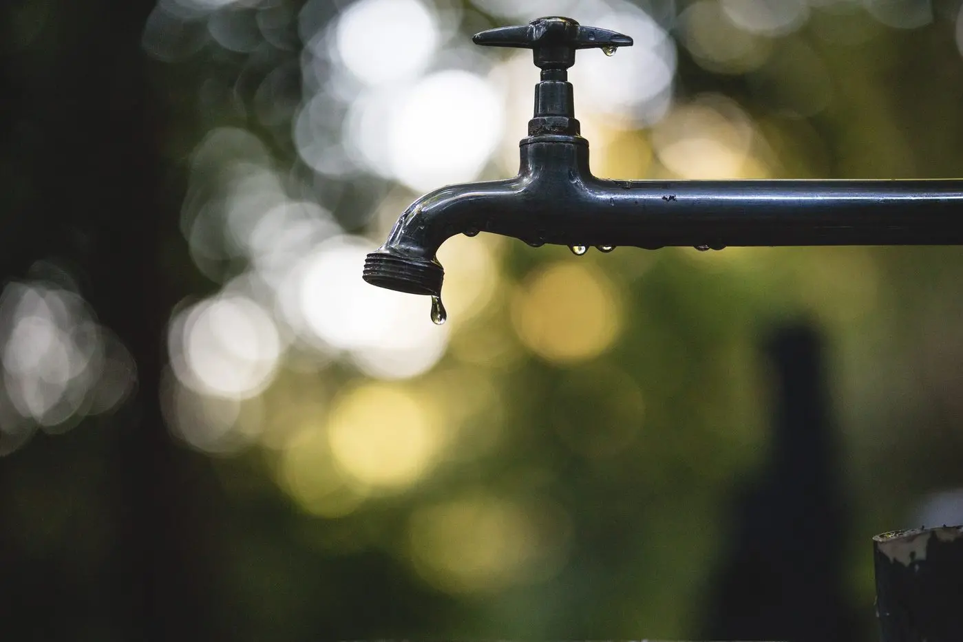 WATER SUPPORT: Businesses within the Strathbogie Shire can sign up for a water information session before Wednesday. PHOTO: Luis Tosta on Unsplash