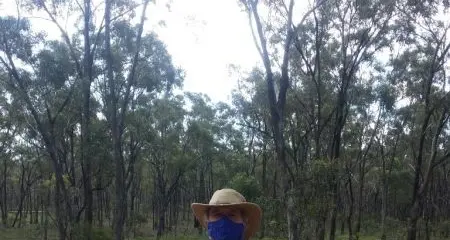 Transmission Tower worries in Graytown