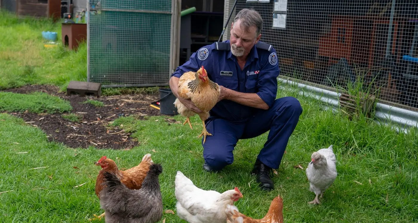 Keep pets part of the plan: CFA