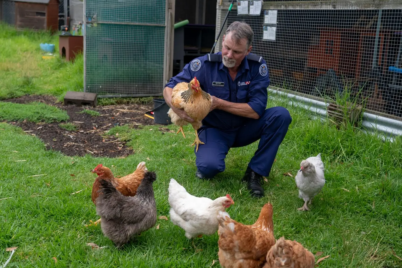 EVEN THE CHOOKS: CFA and RSPCA are urging owners of pets and livestock to include them in their fire-ready plans this summer.