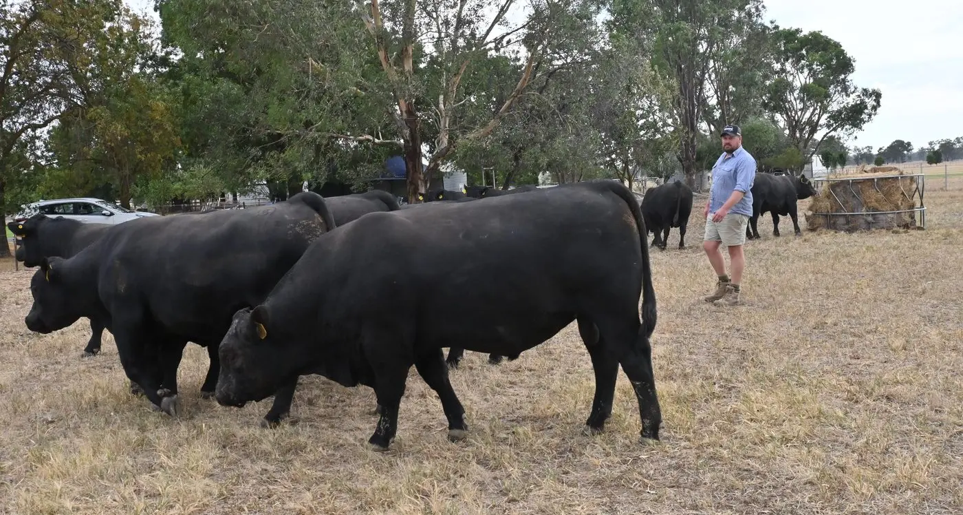 Rule-of-thumb steers away from the bull