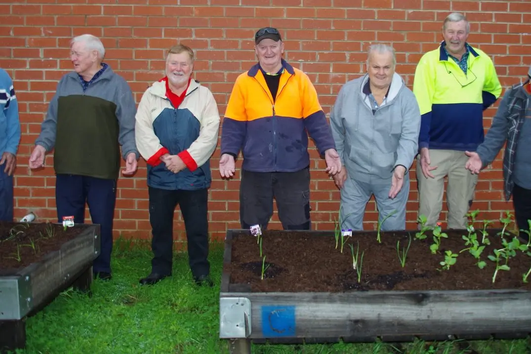 GARDEN GUYS: Nagambie Lakes Men\\'s Shed members recently made vegetable garden beds out of old mushroom farm boxes. Pictured are Bill Taylor (left), Don McKay, John Sharley, Bernie Hore, John Grant, Brendan Dalrymple and Larry King around some of their new no dig garden beds. PHOTO: Di Grant Id:42315
