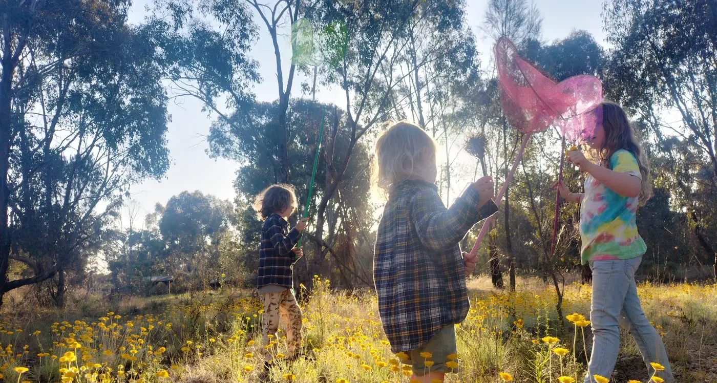 Pollinator Day at Euroa Arboretum on Saturday