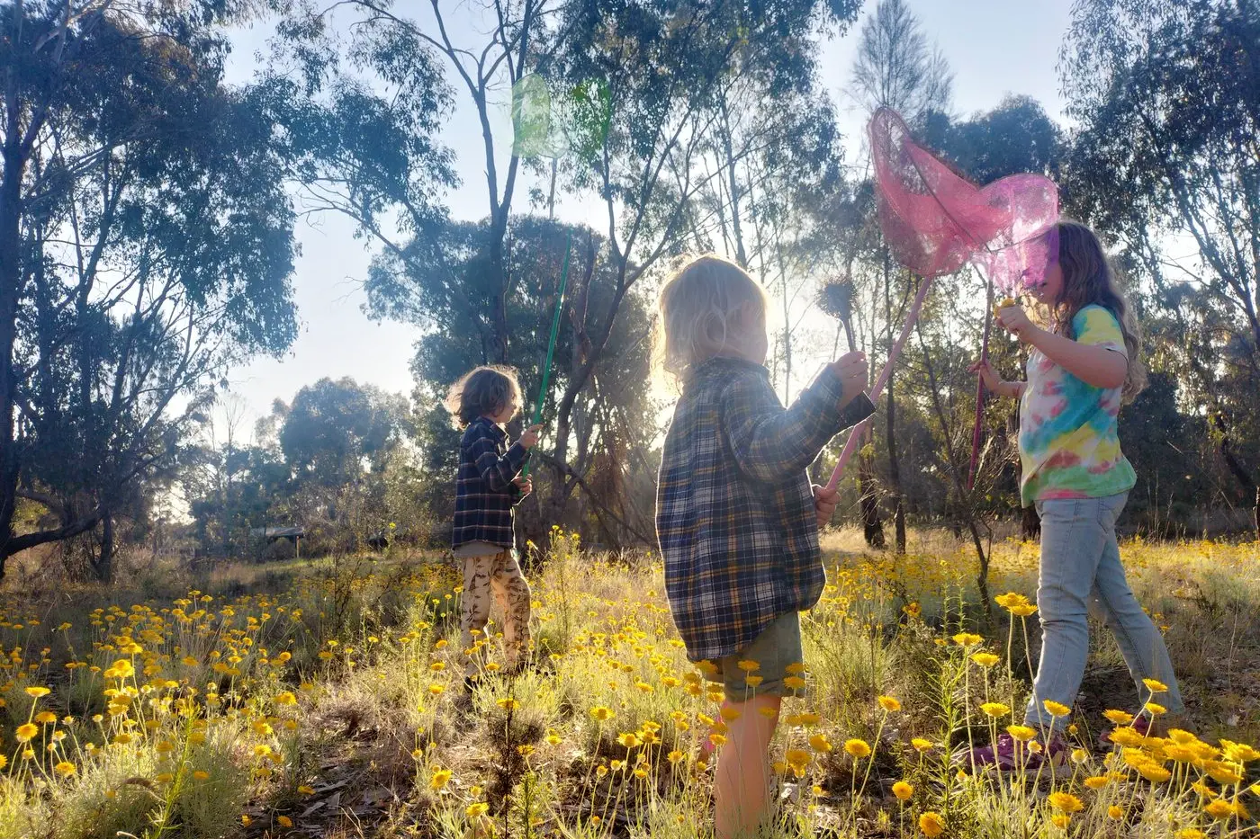 POLLINATOR DAY: This Saturday at Euroa Arboretum, a family day with craft activities for kids and opportunities to catch, identify and release insects.