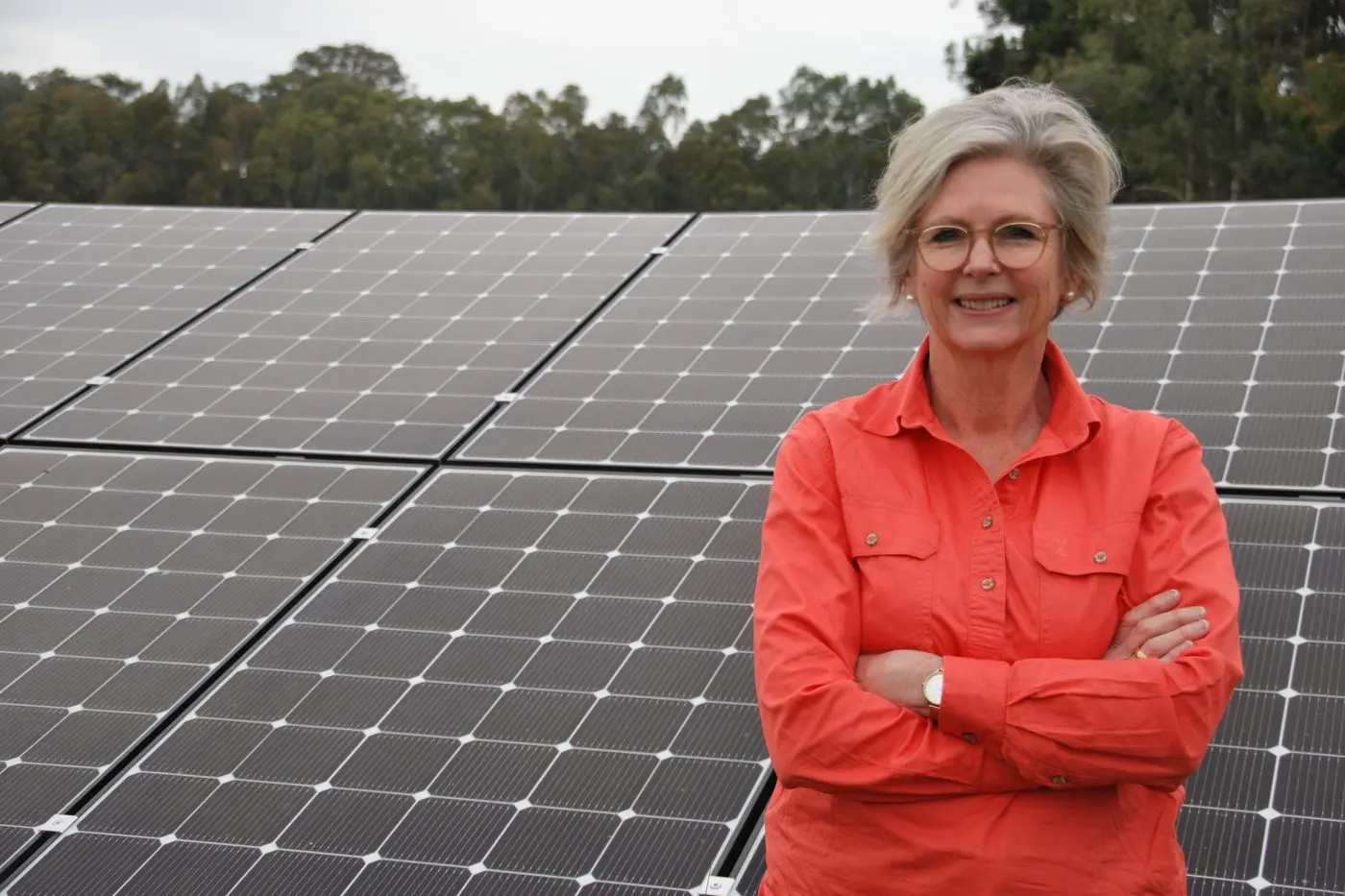 PROGRESS: Indi MP Helen Haine\\'s renewable energy plan will be the subject of the public inquiry. 