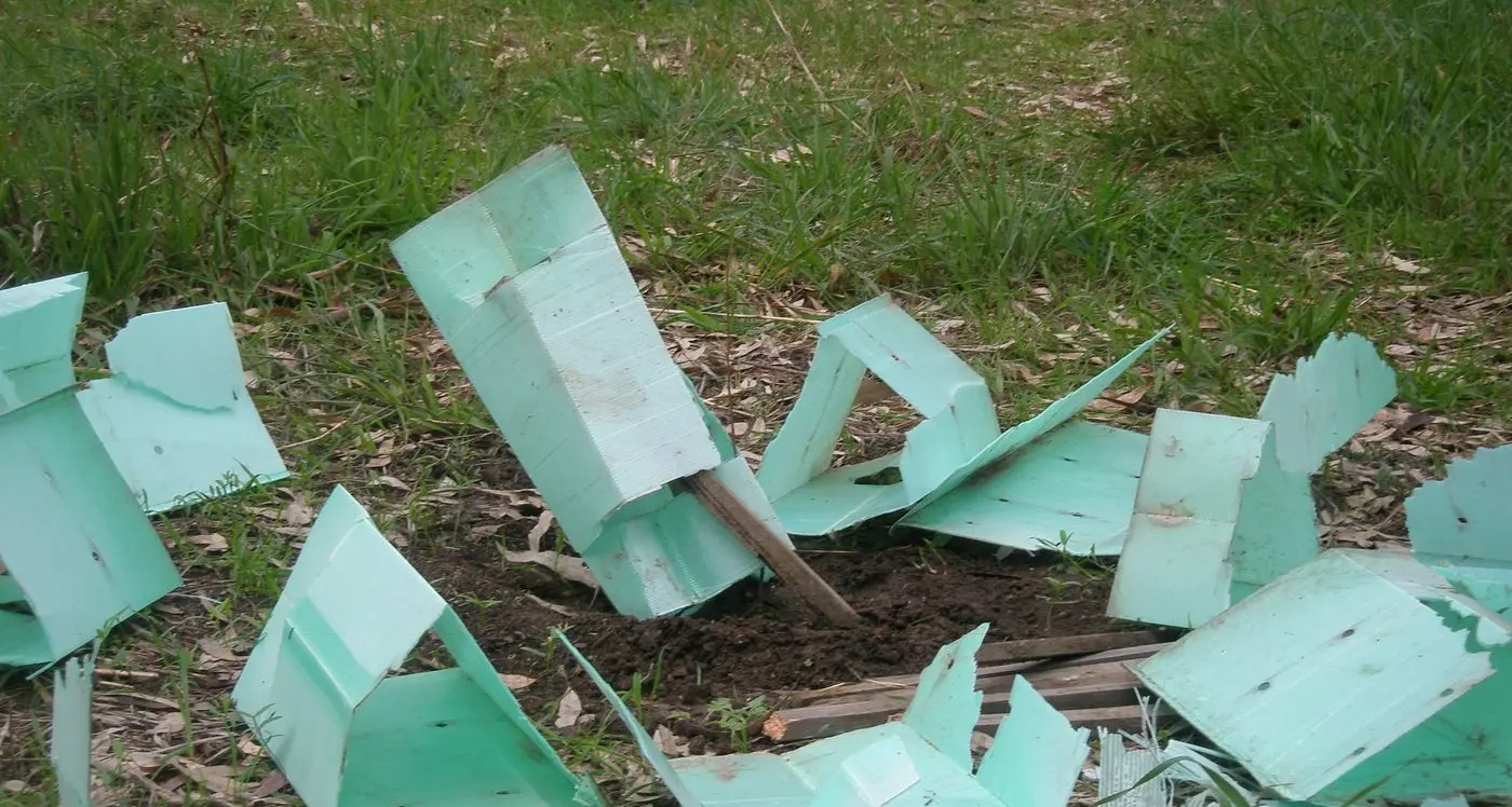 Vandalism of tree plantings ‘totally mindless’