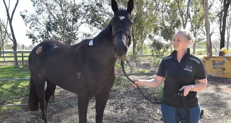 Creightons Creek truck accident tragedy