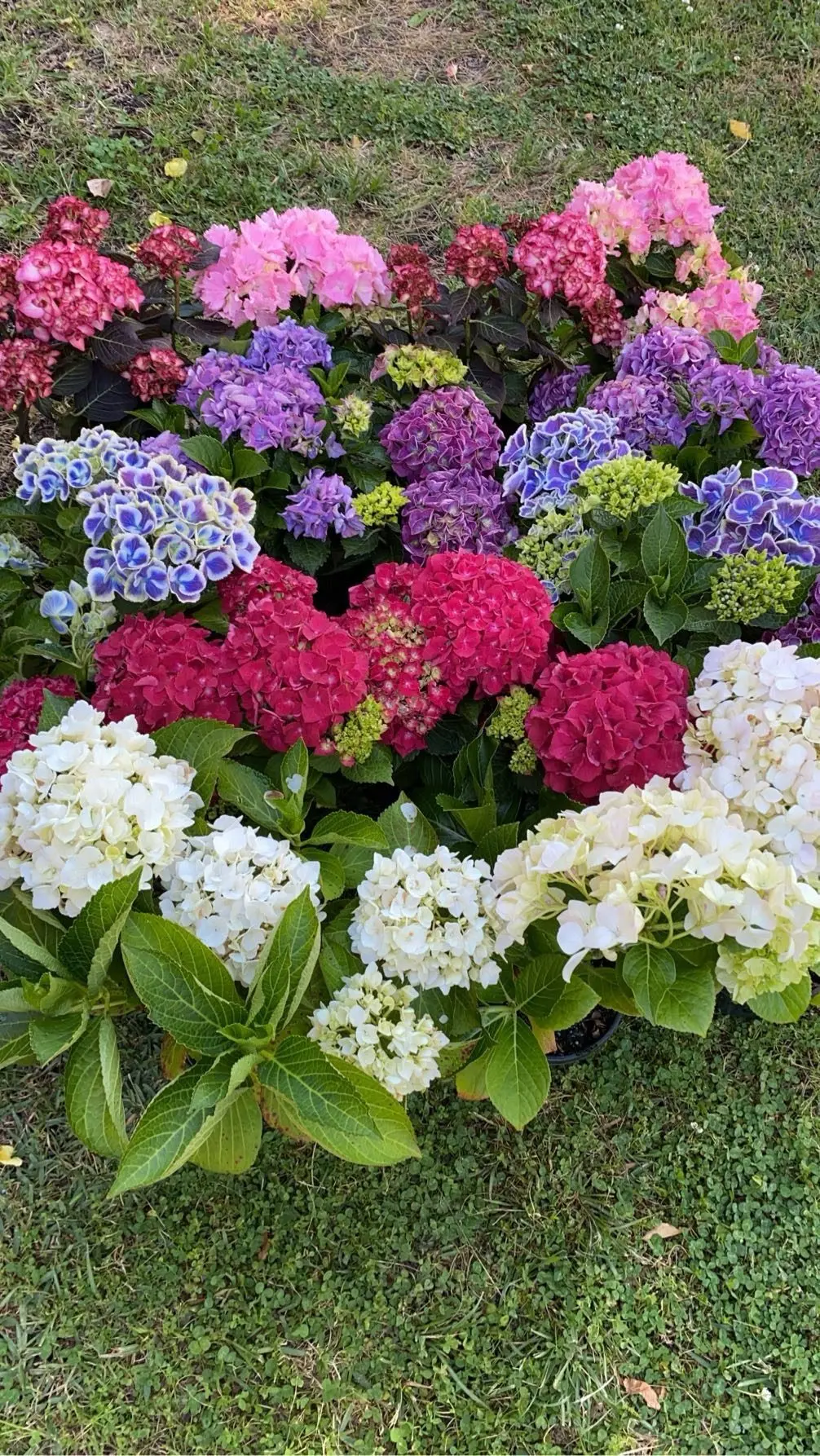 TREAT YOURSELF: Saturday 16 August is going to be a great day for stocking up on farmer\\'s produce, flowers, and crafts.