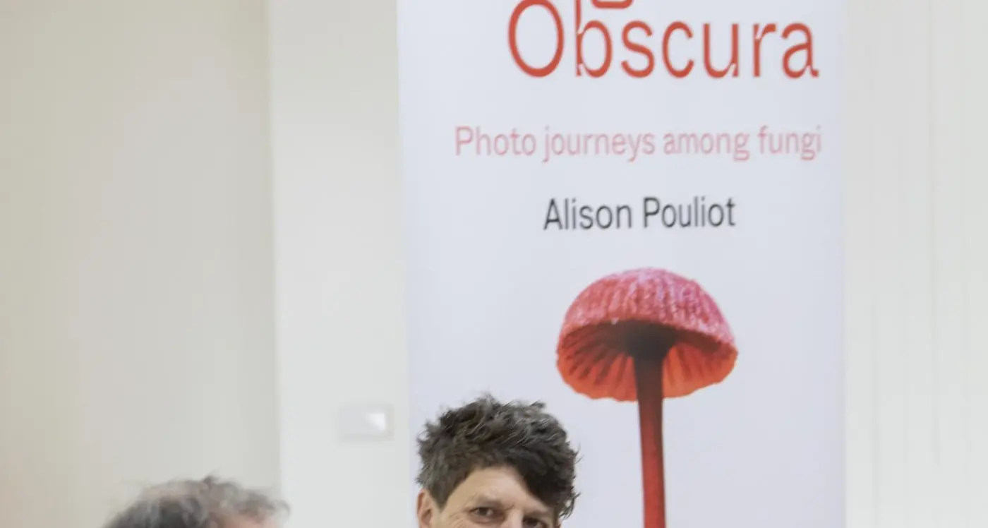 Light show dazzles Euroa as fungi take centre stage