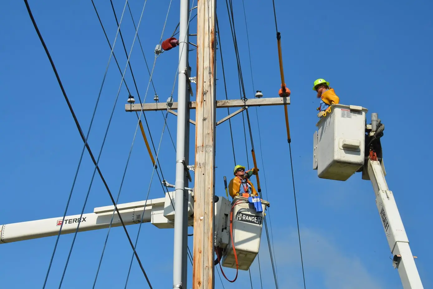 POWER OUTAGES: Towns across the Strathbogie Shire will be without power tomorrow, with the scheduled maintenance impacting thousands of residents and closing several businesses. PHOTO: APPA on Unsplash Id:37468