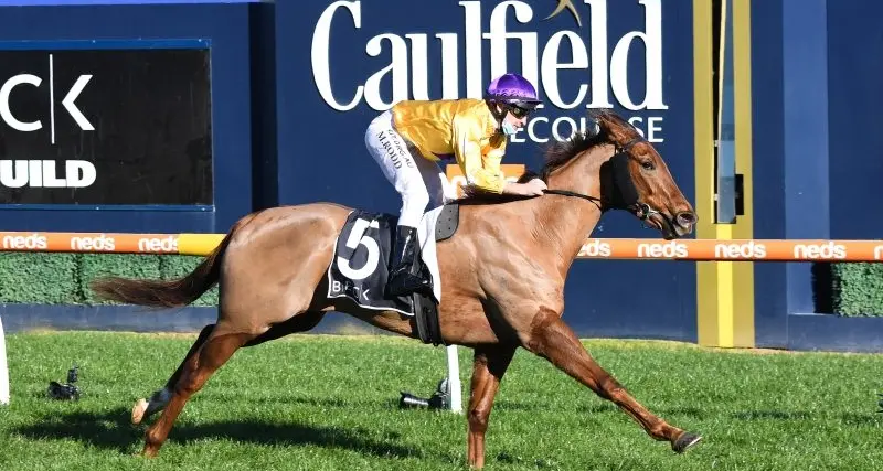 Bella result for Lindsay Park