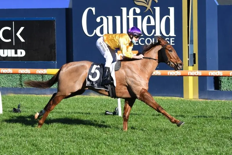 Bella Nipotina ridden by Michael Rodd wins the BECK Probuild Quezette Stakes at Caulfield Racecourse on August 15, 2020 in Caulfield, Australia. (Pat Scala/Racing Photos)