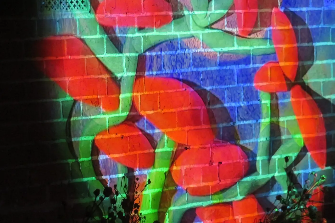 LIGHTING LARGE: The bioluminescence light projection from 2023 is set to return with even more glowing images.