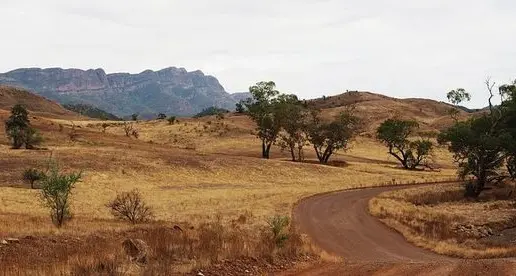 Drum urges Nicholls residents to get travelling