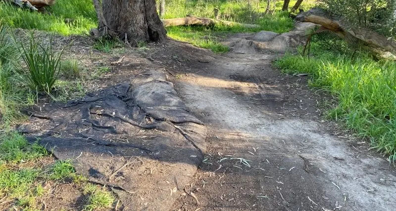 Makeshift bike track is needed to support recreation for kids