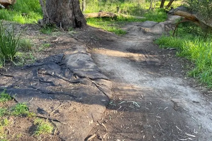 BIKE TRACK NEEDED: Euroa parents say the current makeshift bike track near Charman St in the Euroa Seven Creeks reserve is needed for outdoor activity, especially during COVID-19 lockdown. Last week the Gazette featured a story about concerns from residents that the bike track was degrading vegetation.