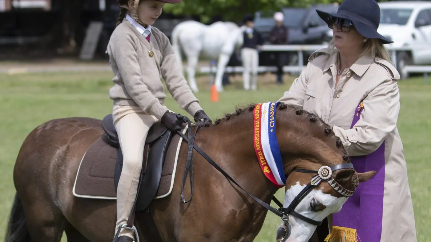 Top-notch equestrian events staged at Euroa Show